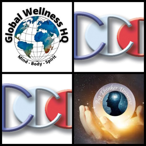 Global Wellness HQ CX guest Richard Blank Costa Ricas Call Center